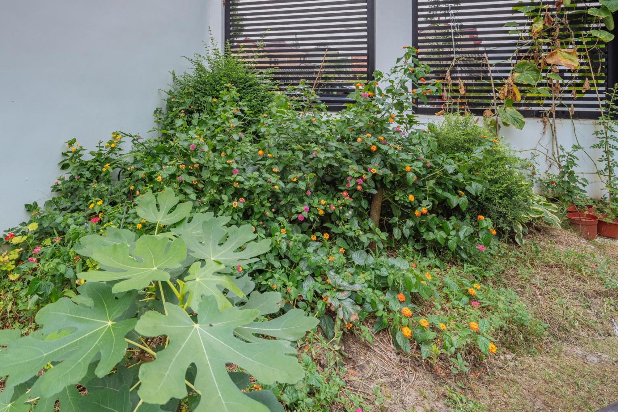 Yinshu Lunasvilla Courtyard Garden Hotel