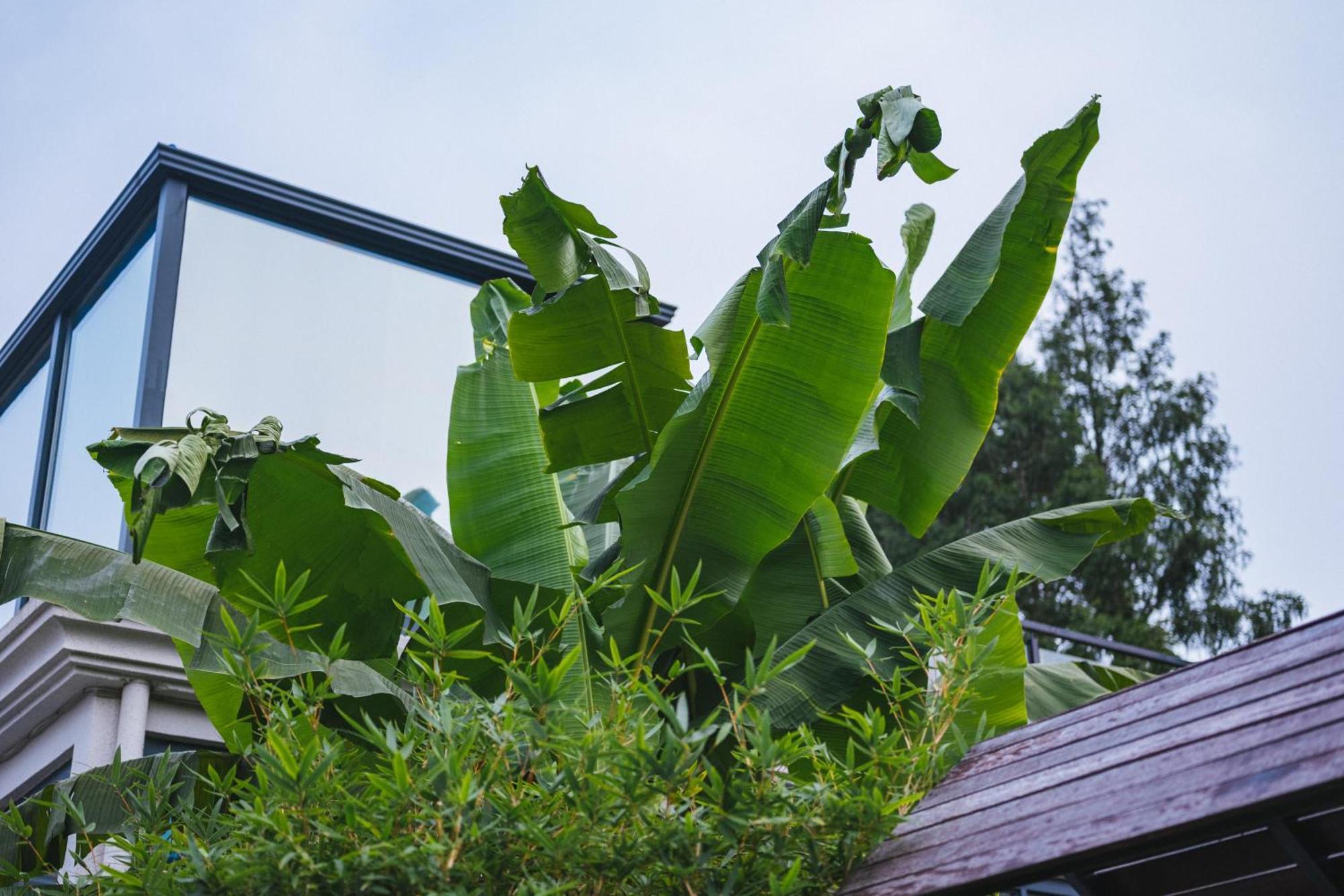 Yinshu Lunasvilla Courtyard Garden 3* Shanghai